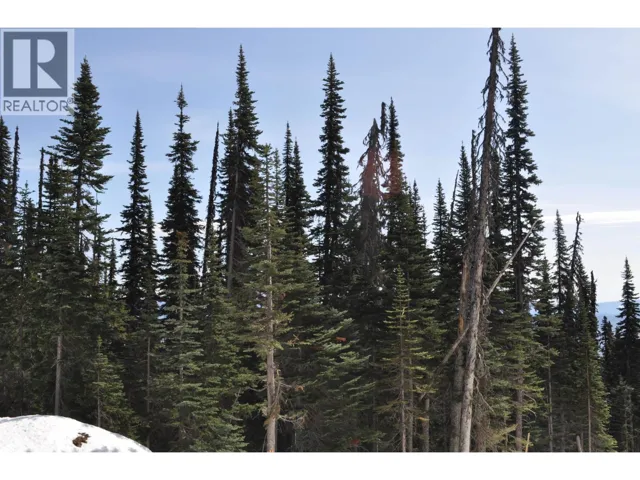 Pr. St Lt 8 ALPINE WAY, Smithers, British Columbia V0J2N0