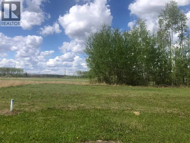 39 Chonkolay Drive, High Level, Alberta T0H1Z0