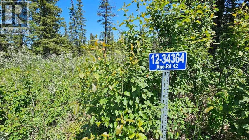12, Rural Mountain View County, Alberta T0M1X0