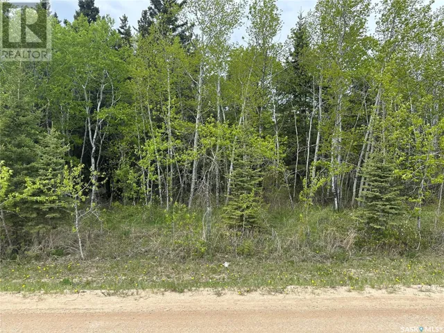 3 george STREET, Big River, Saskatchewan S0J0E0