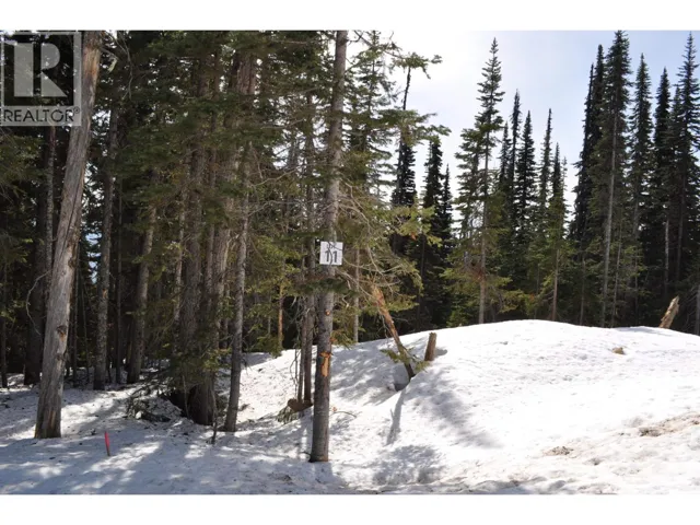Pr. St Lt 11 ALPINE WAY, Smithers, British Columbia V0J2N0