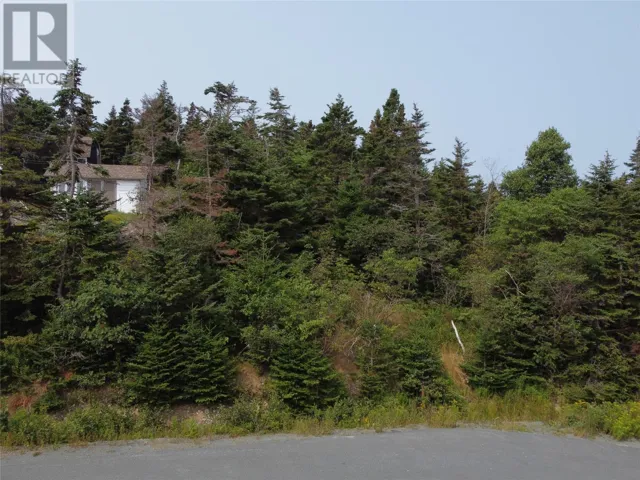 19 Lee's Place, Portugal Cove-St. Philip's, Newfoundland & Labrador A1M3C2