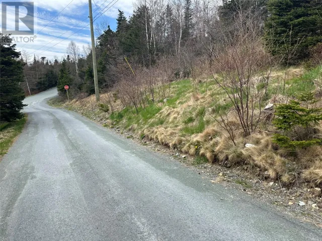 10 Power's Lane, Marysvale, Newfoundland & Labrador A0A2Z0