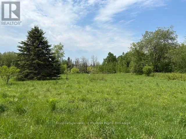 351 RAVENSCLIFFE ROAD, Huntsville (Chaffey), Ontario P1H1L6