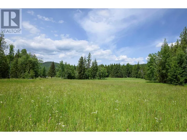 937 Clearwater Village Road, Clearwater, British Columbia V0E1N1