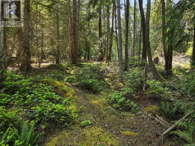 568 Aya Reach Rd, Mayne Island, British Columbia V0N2J1