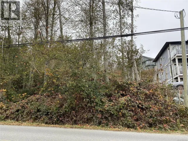 249 North Shore Rd, Lake Cowichan, British Columbia V0R2G1