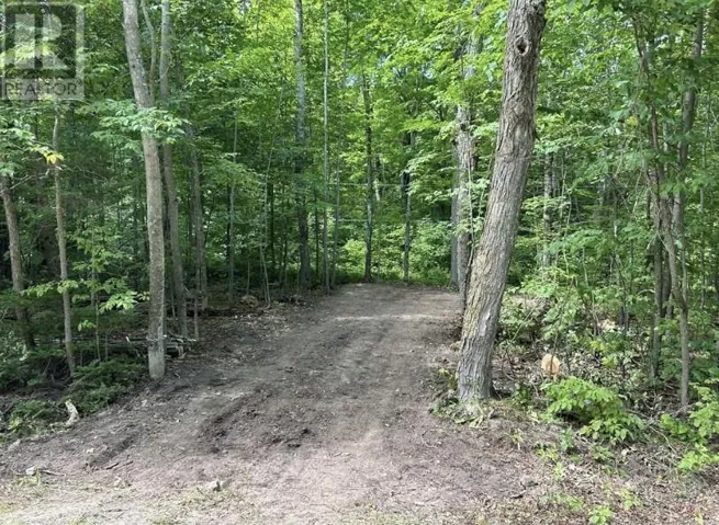 N/A Monument Road, Spring Bay, Ontario P0P2N0