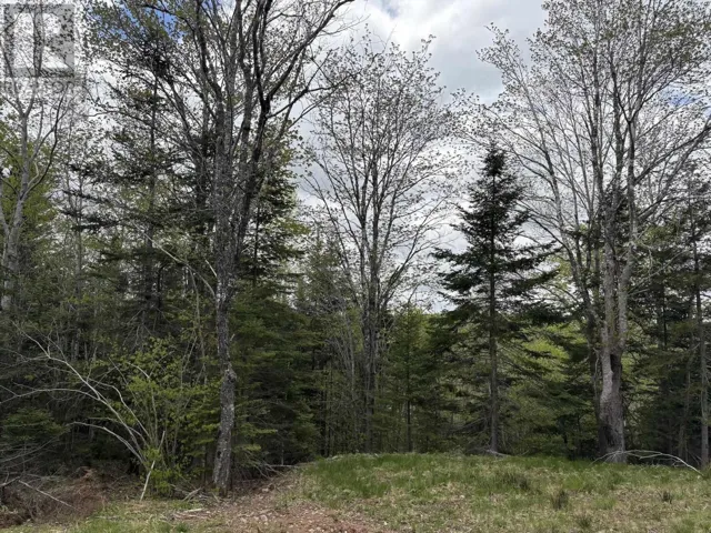 Lot 4 Highway 14, Upper Nine Mile River, Nova Scotia B2S2Z3