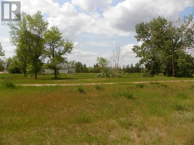 716, Three Hills, Alberta T0M2A0