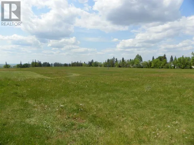 6 Ave Avenue NE, Three Hills, Alberta T0M2A0