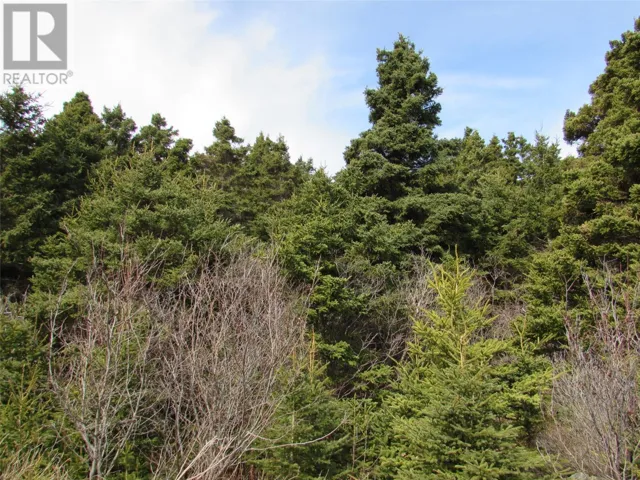 9 Cove Road, Colliers, Newfoundland & Labrador A0A1Y0