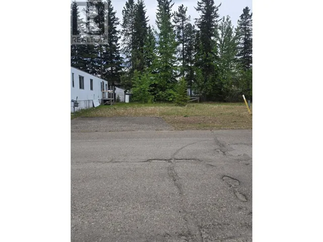 105 Steeprock Close, Tumbler Ridge, British Columbia V0C2W0