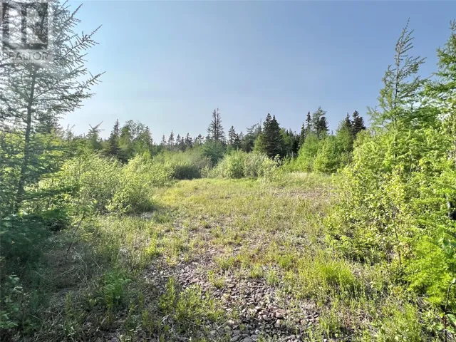 437 Main Street, Northern Arm, Newfoundland & Labrador A0H1E0