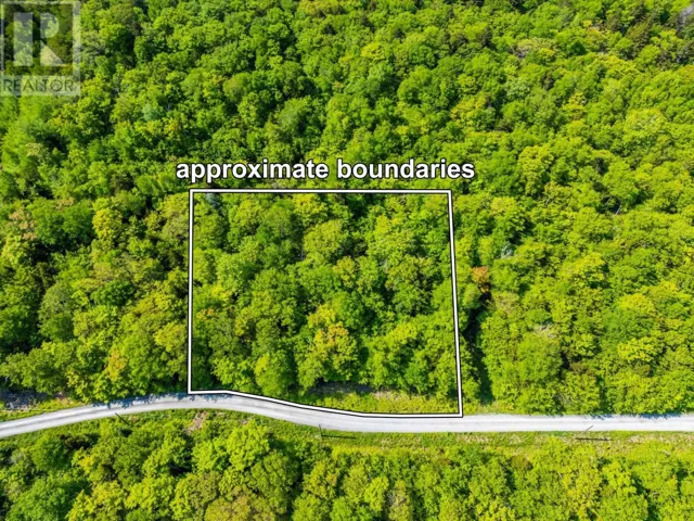 Lot 2 Chemin Theriault Point Road, Belliveaus Cove, Nova Scotia B0W1M0