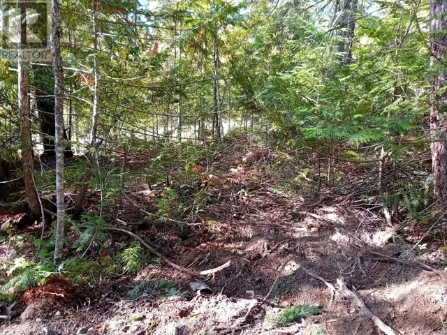 372 Aspen Road, Anglemont, British Columbia V0E1M8