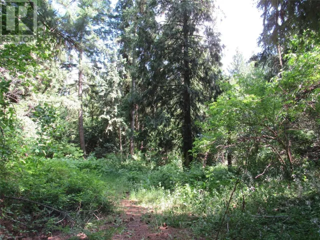 2532 10th Avenue Unit# Parcel A, Castlegar, British Columbia V1N3A2