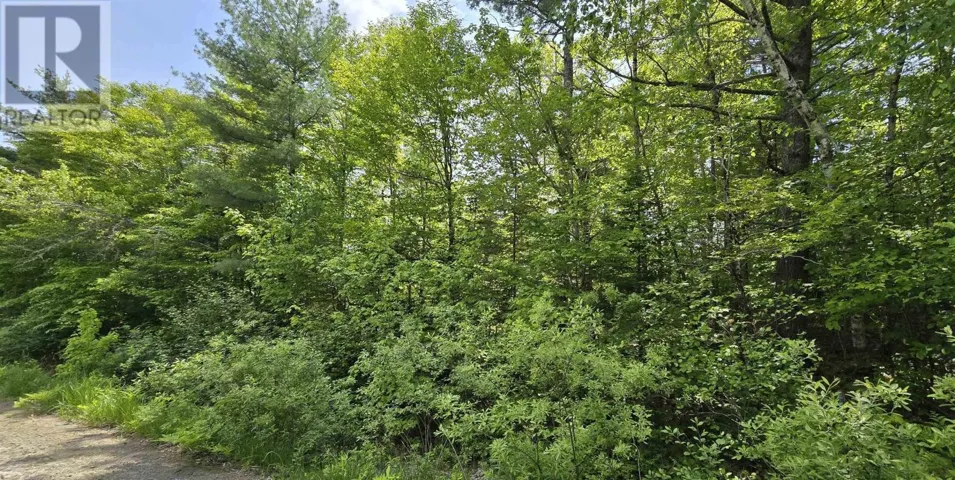 Lot 24-1 East Clifford Road, East Clifford, Nova Scotia B4V7R8
