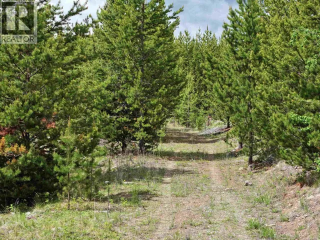 Lot 5 93 MILE LOOP ROAD, Lone Butte, British Columbia V0K1X3