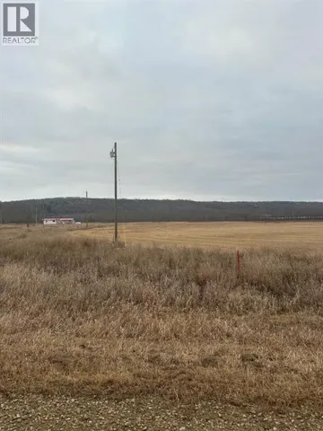 4-1-2121458 242A Range, Rural Birch Hills County, Alberta T0H3R0
