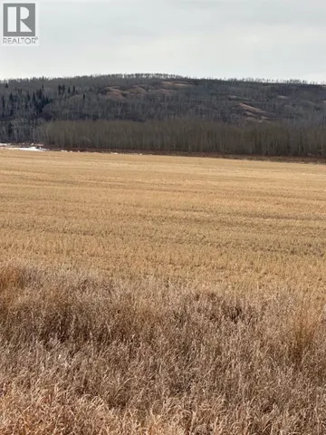 3-1-2121458 242A Range, Rural Birch Hills County, Alberta T0H3R0