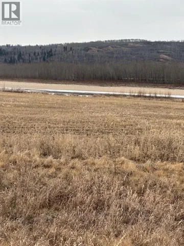 1-1-2121458 242A Range, Rural Birch Hills County, Alberta T0H3R0