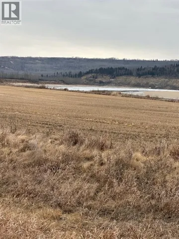 2-1-2121458 242A Range, Rural Birch Hills County, Alberta T0H3R0