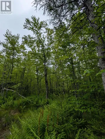 CM2J Lot CM2J Mackenzie Lane, Mount Uniacke, Nova Scotia B0N1Z0