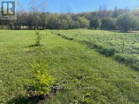 LOT FLAGG ROAD, South Dundas, Ontario K0E1K0