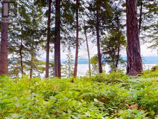 1508 SAVARY ISLAND ROAD, Savary Island, British Columbia None