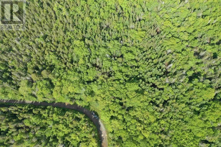 Grant 16738 Moser River North Road, Moser River, Nova Scotia B0J2K0