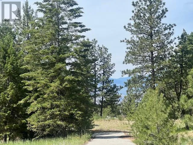 240 SASQUATCH Trail Lot# Lot 9, Osoyoos, British Columbia V0H1V6
