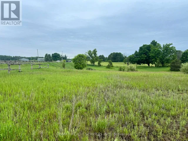 10054 ON-9 N, Adjala-Tosorontio, Ontario L0G1L0