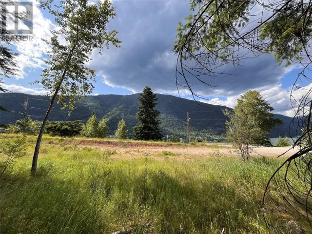 1102 Bealby Street, Nelson, British Columbia V1L3B4