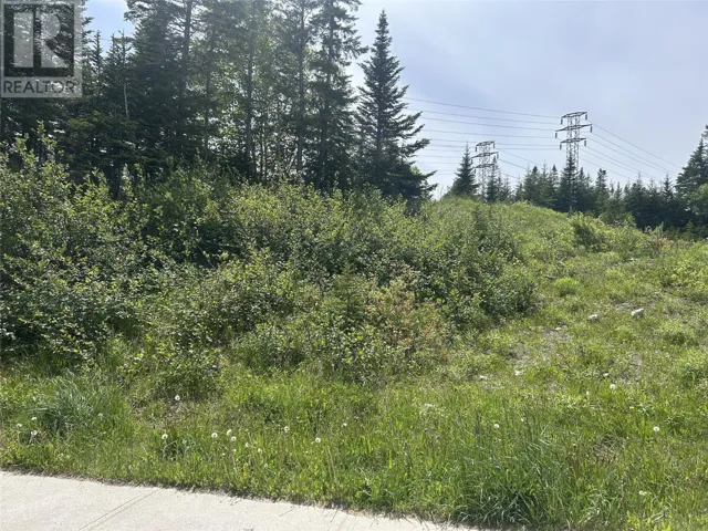 196 Massey Drive, Massey Drive, Newfoundland & Labrador A2H7A2