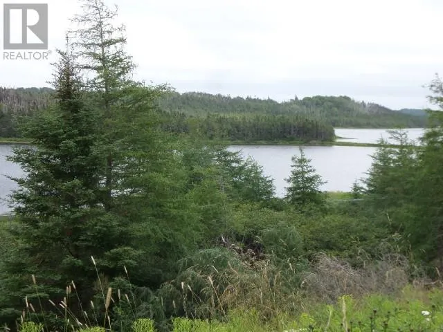 Lot 1 Junction Pond Unit#LOT 1, WHITBOURNE, Newfoundland & Labrador A0B3K0