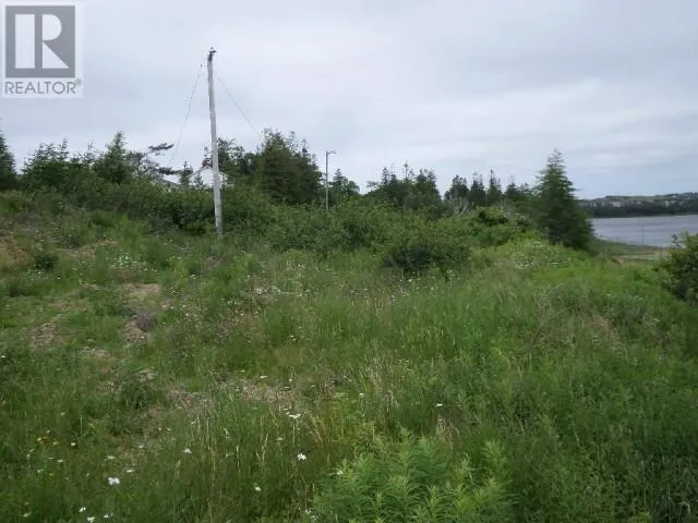 Lot 2 Junction Pond Unit#LOT 2, WHITBOURNE, Newfoundland & Labrador A0B3K0