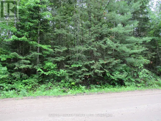 PT LT49 OLD MOORE LAKE ROAD, Laurentian Hills, Ontario K0J2H0