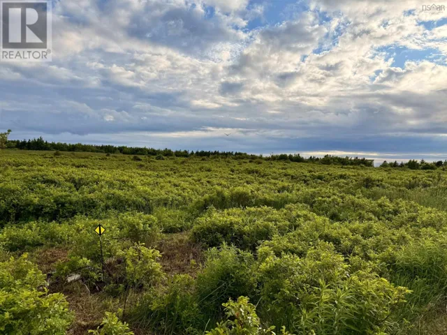 CHEMIN SIMEON AUCOIN Road, St. Joseph du Moine, Nova Scotia B0E3A0
