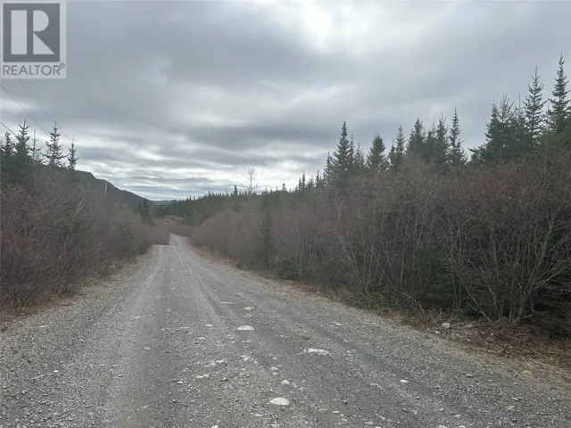 Lot # 04 Quarry Road, Burgoynes Cove, Newfoundland & Labrador A0C1G0