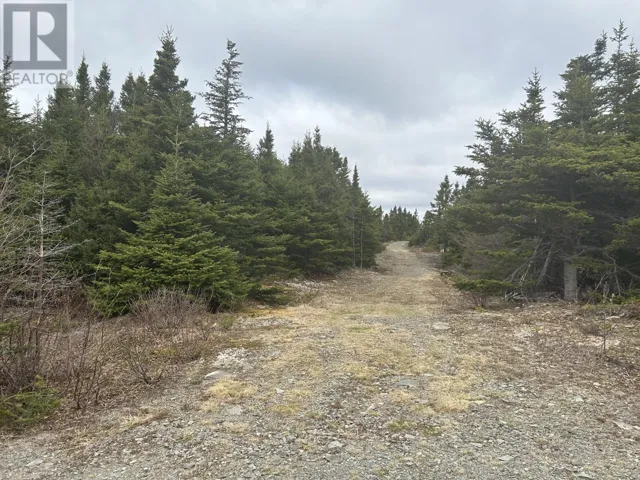 Lot # 05 Quarry Road, Burgoynes Cove, Newfoundland & Labrador A0C1G0