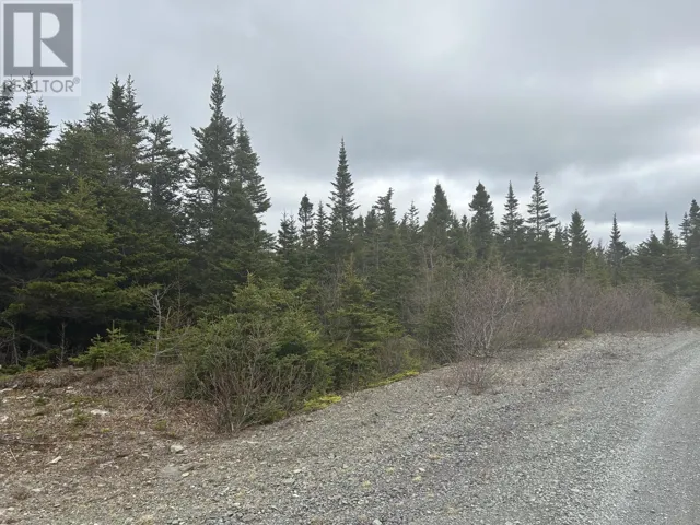 Lot # 06 Quarry Road, Burgoynes Cove, Newfoundland & Labrador A0C1G0