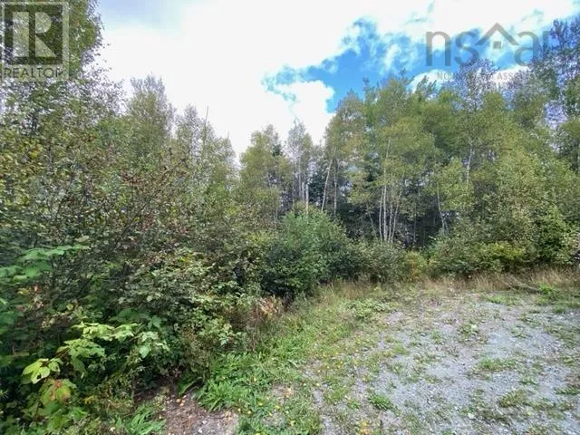 Lot 104 Highway, Linacy, Nova Scotia B2H5C4