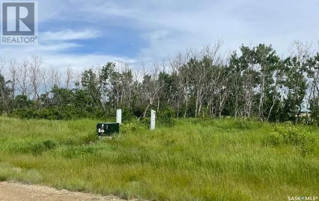Lot 4 Viceroy ROAD, North Battleford Rm No. 437, Saskatchewan S9A0S6