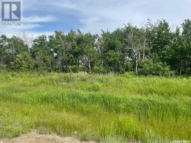 Lot 6 Viceroy ROAD, North Battleford Rm No. 437, Saskatchewan S9A0S6