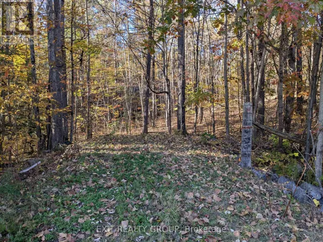 0 FLINTON ROAD, Tweed (Elzevir (Twp)), Ontario K0K3J0