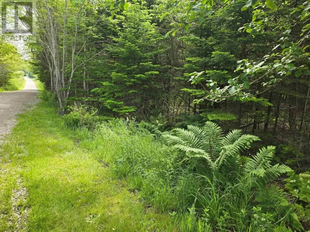 Lot Main Shore Road, North Chegoggin, Nova Scotia B5A5H3