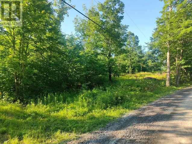 621A COOK ROAD, Marmora and Lake, Ontario K0K2M0