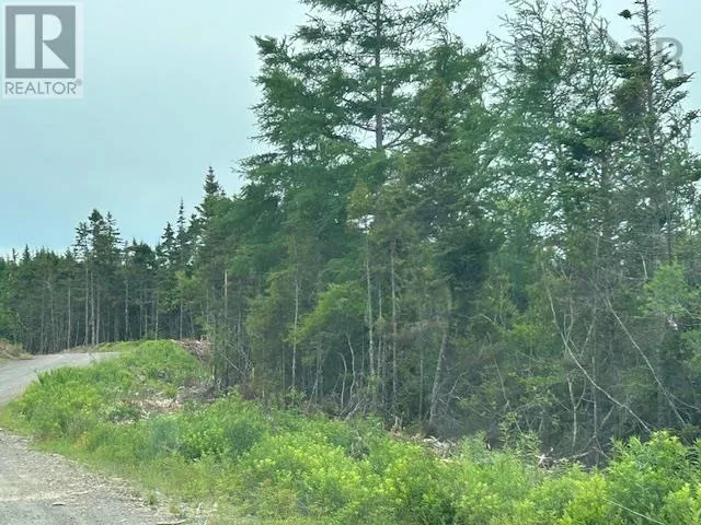 Salmon River Road, West L'ardoise, Nova Scotia B0E1S0