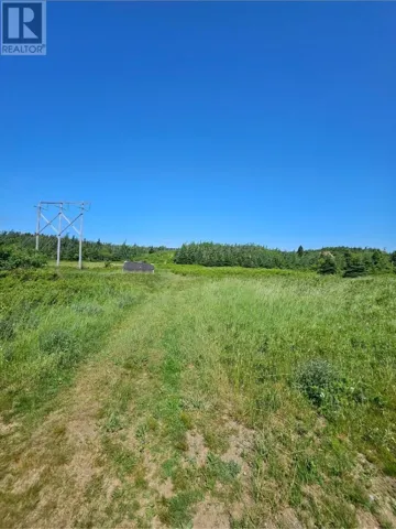 O UC cemetery, Shearstown, Newfoundland & Labrador A0A1G0